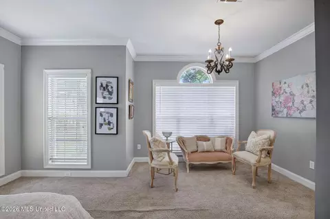 Other - 668 Hazelton Dr, Madison, MS 39110 photo 8 of 9