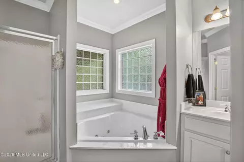 Bath - 668 Hazelton Dr, Madison, MS 39110 photo 3 of 4