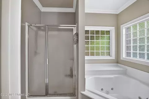 Bath - 668 Hazelton Dr, Madison, MS 39110 photo 4 of 4