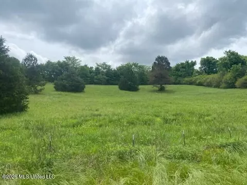 Peyton Road, Coldwater, MS 38618