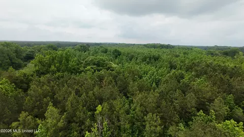 6936 Hillsboro-ludlow Rd, Forest, MS 39074