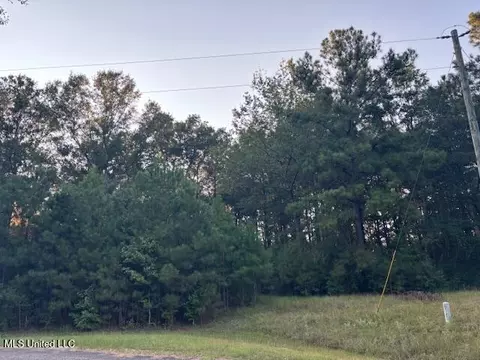 lot Apt 3 Park Pl, Mccomb, MS 39648 photo 4