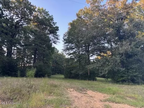 lot Apt 3 Park Pl, Mccomb, MS 39648 photo 8