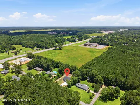 View/Area - 10 Beech Ln, Petal, MS 39465 photo 2 of 4