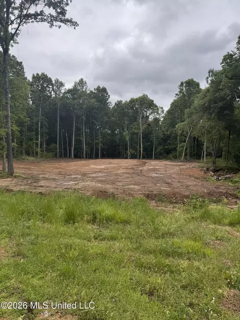 1306 Crockett Cv, Hernando, MS 38632