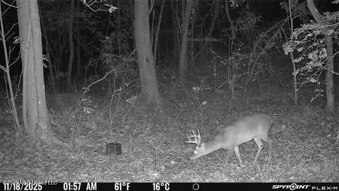 Other - 357 SE Nations, Brookhaven, MS 39601 photo 21 of 38
