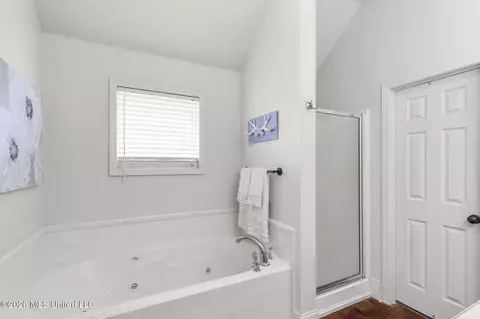Bath - 159 Mason Way, Madison, MS 39110 photo 3 of 4