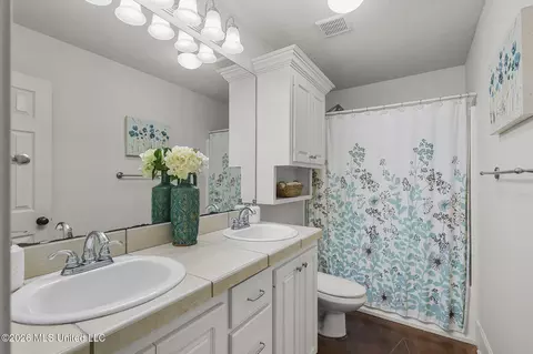 Bath - 159 Mason Way, Madison, MS 39110 photo 4 of 4