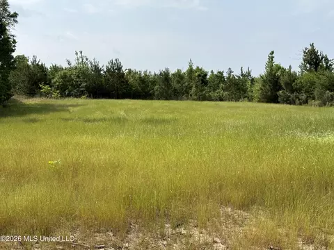 Scales Road, Morton, MS 39117 photo 14