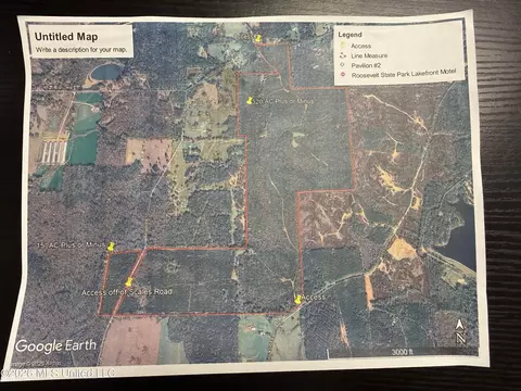 Scales Road, Morton, MS 39117 photo 27