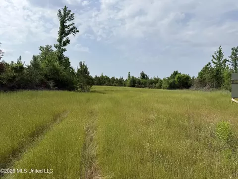 Scales Road, Morton, MS 39117 photo 12