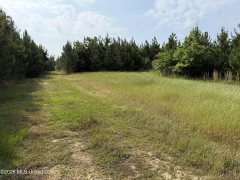 Scales Road, Morton, MS 39117 photo 4
