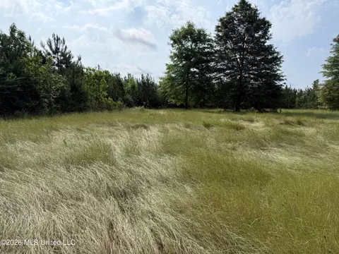 Scales Road, Morton, MS 39117 photo 9