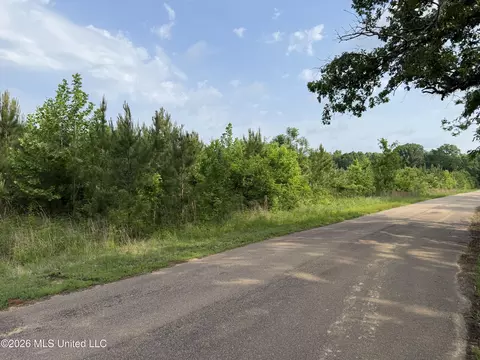 Scales Road, Morton, MS 39117 photo 2