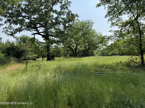 Scales Road, Morton, MS 39117 photo 23