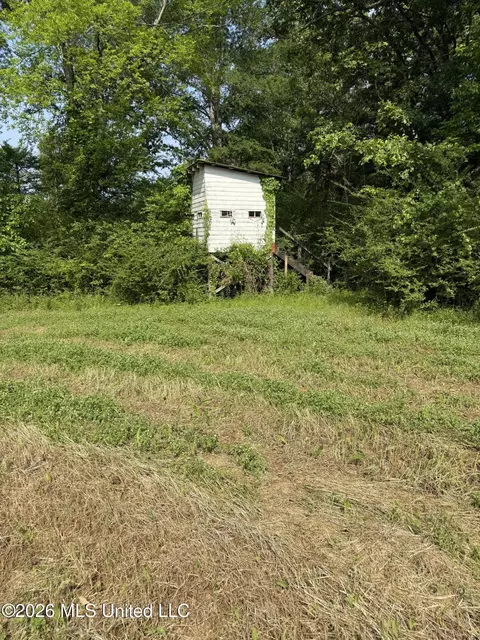 Scales Road, Morton, MS 39117 photo 26