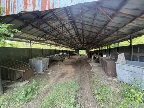 Scales Road, Morton, MS 39117 photo 8