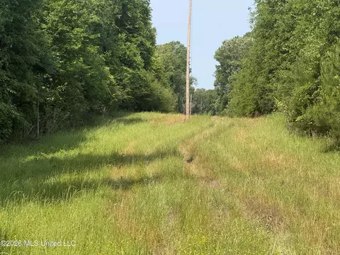 Scales Road, Morton, MS 39117 photo 19