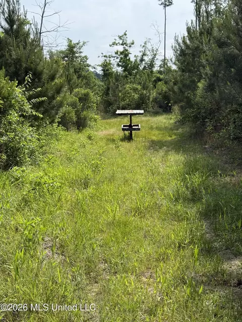 Scales Road, Morton, MS 39117 photo 11