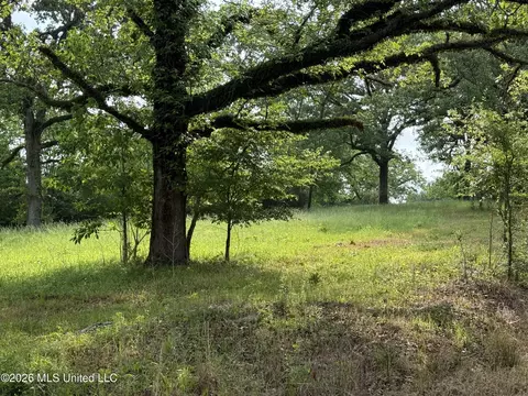 Scales Road, Morton, MS 39117