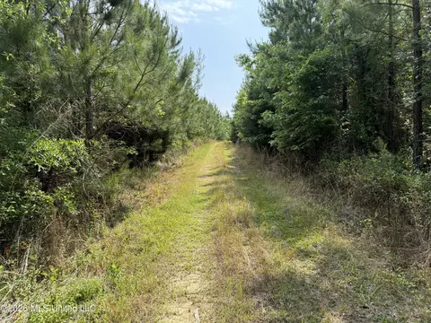 Scales Road, Morton, MS 39117 photo 6