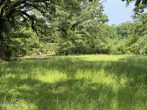 Scales Road, Morton, MS 39117 photo 22