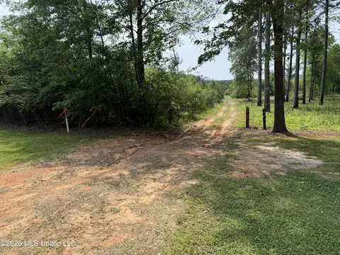 Scales Road, Morton, MS 39117 photo 3