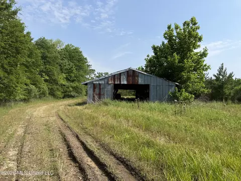 Scales Road, Morton, MS 39117 photo 7