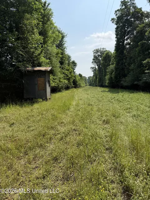 Scales Road, Morton, MS 39117 photo 17