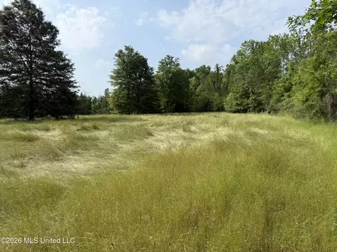 Scales Road, Morton, MS 39117 photo 10
