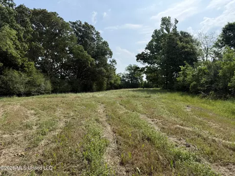 Scales Road, Morton, MS 39117 photo 16