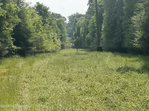 Scales Road, Morton, MS 39117 photo 18