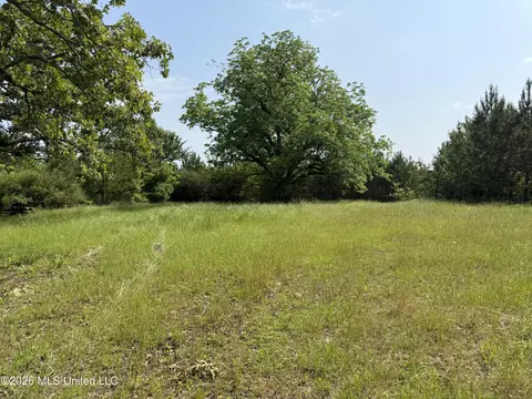 Scales Road, Morton, MS 39117 photo 21
