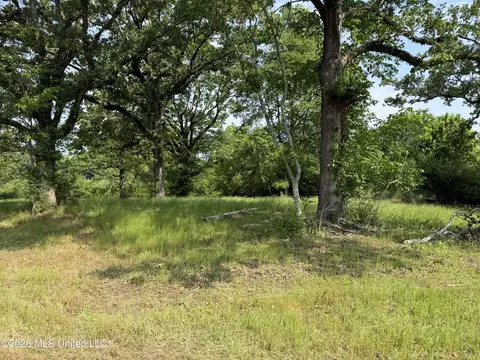 Scales Road, Morton, MS 39117 photo 20