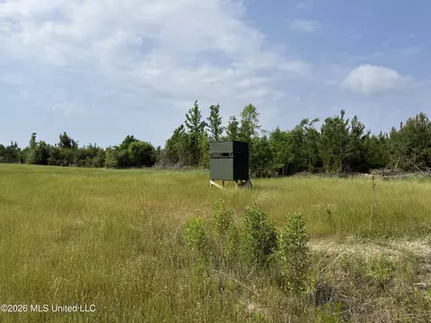 Scales Road, Morton, MS 39117 photo 13