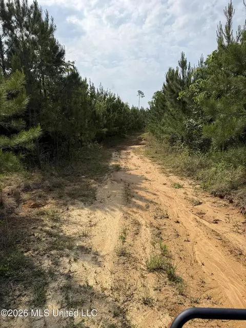 Scales Road, Morton, MS 39117 photo 5