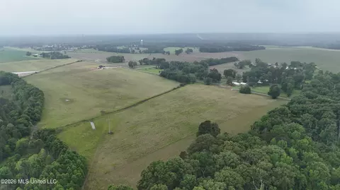 N Sandhill Road, Lena, MS 39094 photo 10