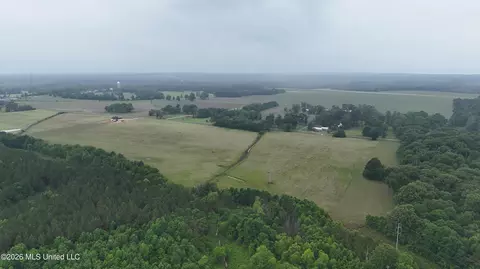 N Sandhill Road, Lena, MS 39094 photo 11