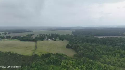N Sandhill Road, Lena, MS 39094 photo 12
