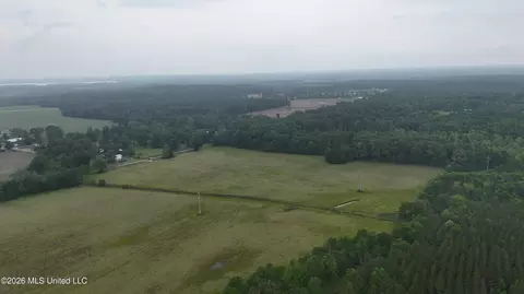 N Sandhill Road, Lena, MS 39094 photo 17