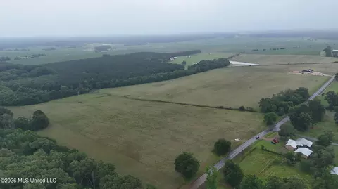 N Sandhill Road, Lena, MS 39094 photo 6