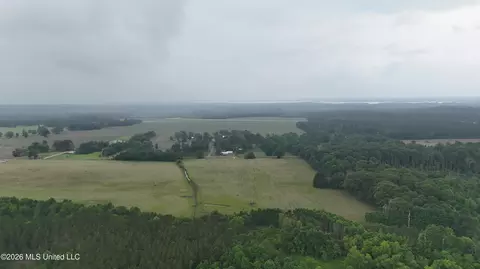 N Sandhill Road, Lena, MS 39094 photo 13