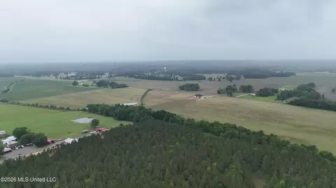 N Sandhill Road, Lena, MS 39094 photo 14