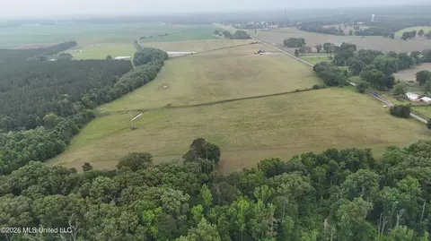 N Sandhill Road, Lena, MS 39094 photo 9
