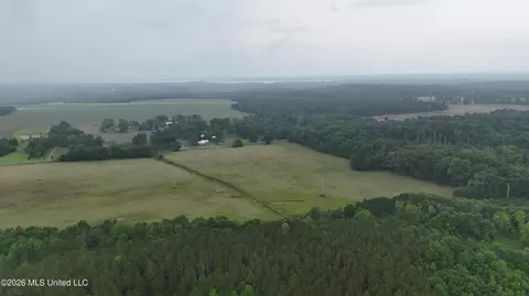 N Sandhill Road, Lena, MS 39094 photo 16
