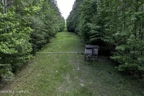 0 Steel Creek Rd, Georgetown, MS 39078 photo 3