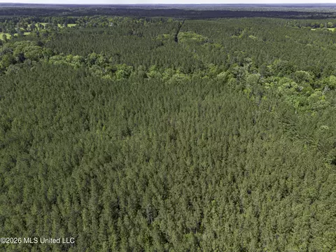 0 Steel Creek Rd, Georgetown, MS 39078 photo 5