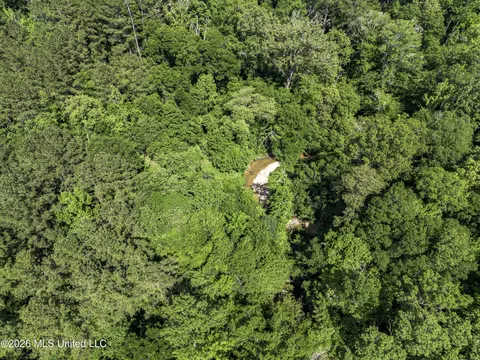 0 Steel Creek Rd, Georgetown, MS 39078 photo 6