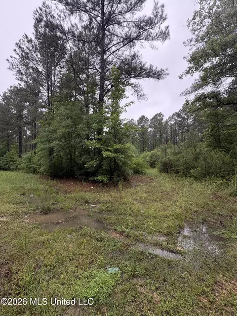 0 Steel Creek Rd, Georgetown, MS 39078 photo 12