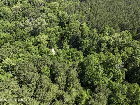 0 Steel Creek Rd, Georgetown, MS 39078 photo 8